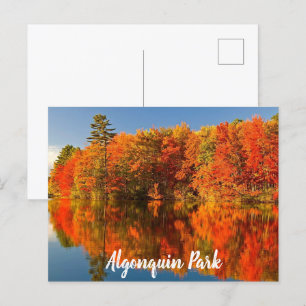 Algonquin Park Canada Fall stylized Postcard