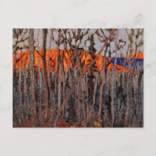 Algonquin Park Postcard