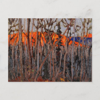 Algonquin Park Postcard