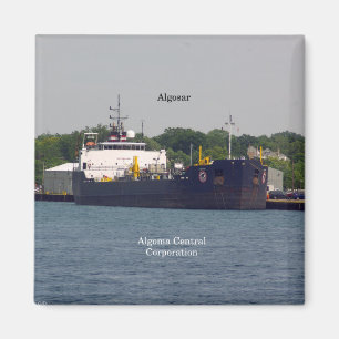 Algosar magnet