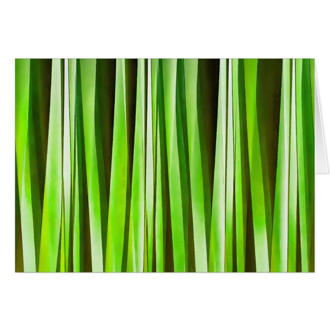 Algue de rivière verte tropicale (Devant horizontal)