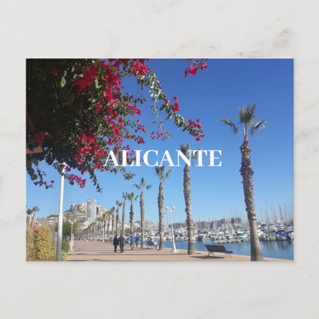Alicante Postcard (Front)
