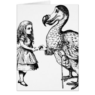Alice and the Dodo