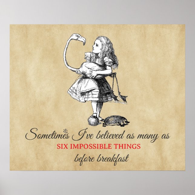 Alice and the Flamingo  Poster (Front)