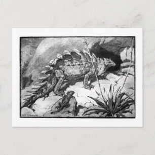 Alice B. Woodward : Carte postale art Stegosaurus