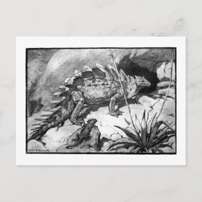 Alice B. Woodward : Carte postale art Stegosaurus (Devant)