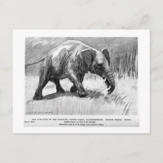 Alice B. Woodward : Carte postale d'art Palaeomast