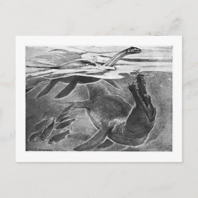 Alice B. Woodward : Carte postale d'art Plesiosaur (Devant)