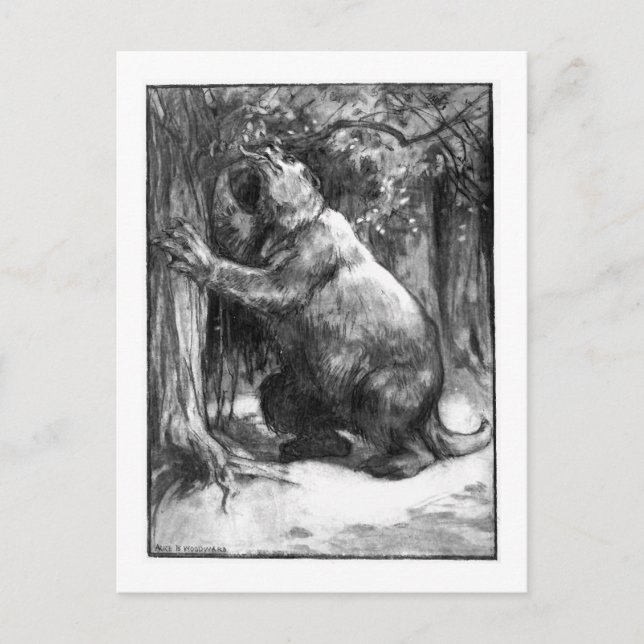 Alice B. Woodward : Carte postale de l'art du méga (Devant)
