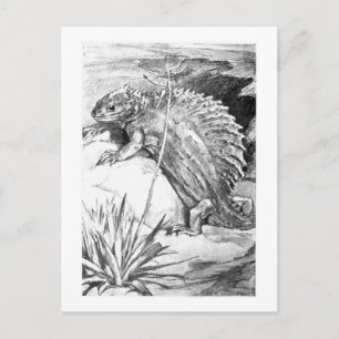 Alice B. Woodward: Edaphosaurus art postcard