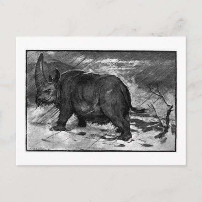 Alice B. Woodward: Elasmotherium art postcard (Front)