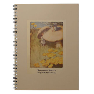 Alice dans le carnet 1907 d'illustration du pays
