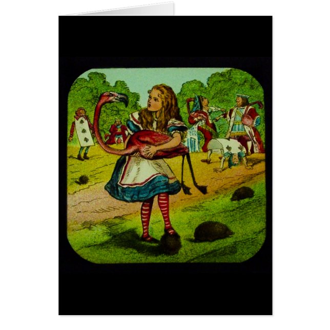 Alice dans le croquet de Flamant rose du pays des (Devant)
