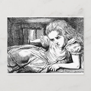 Alice in the White Rabbit's House Postcard