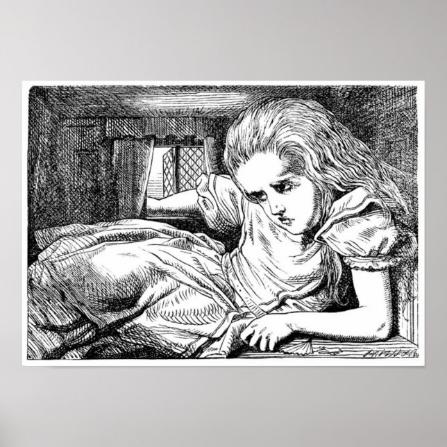 Alice in the White Rabbit's House Poster (Front)