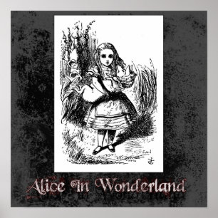 Alice In Wonderland 22 Poster