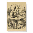 Alice in Wonderland Alice with the Caterpillar