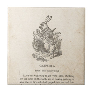 Alice In Wonderland, Chapter One, Down the Rabbit Tile