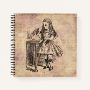 Alice in Wonderland Drink Me Bottle Notebook