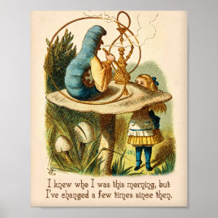 Alice in Wonderland Quote -I Knew Who I Was - Cate Poster