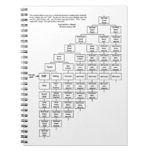 Alice J Ramsey Cousin Chart Notebook