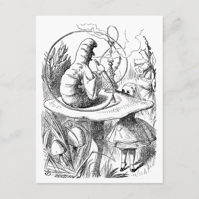 Alice Meets the Caterpillar - Alice in Wonderland Postcard (Front)
