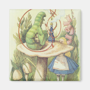 Alice Meets the Caterpillar Magnet