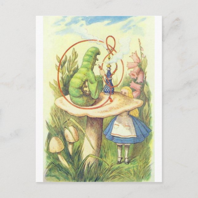 Alice Meets the Caterpillar Postcard (Front)