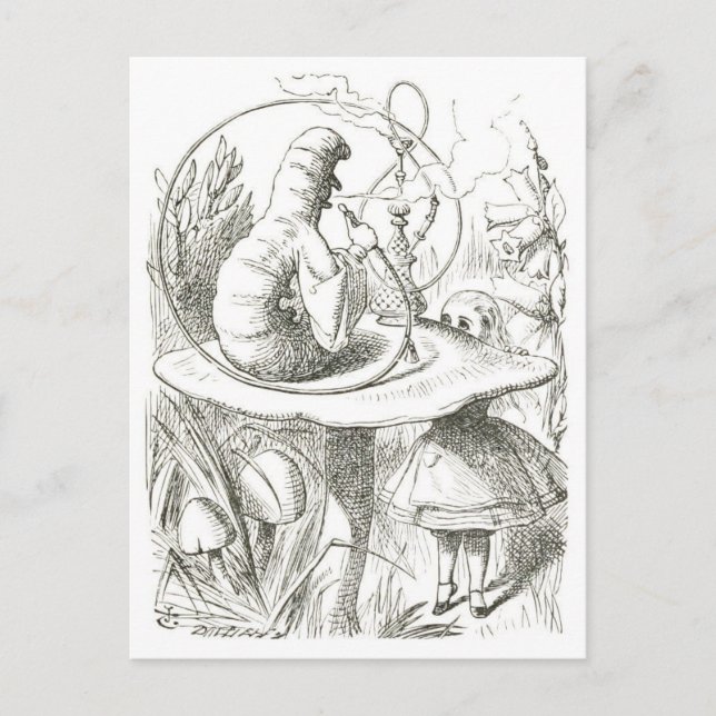 Alice Meets the Caterpillar Vintage Illustration Postcard (Front)