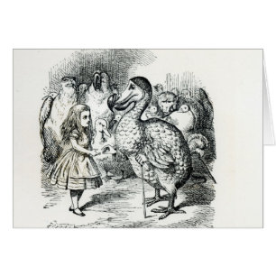Alice meets the Dodo