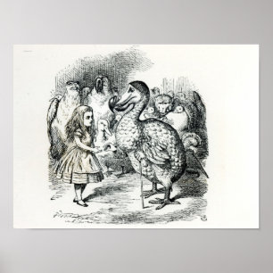 Alice meets the Dodo Poster