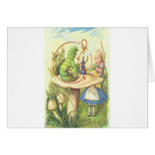 Alice rencontre Caterpillar