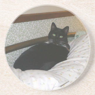 Alice the cat coaster