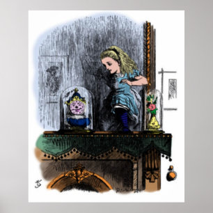 Alice & the Looking Glass Poster