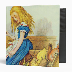 Alice Upsets the Jury-Box Binder