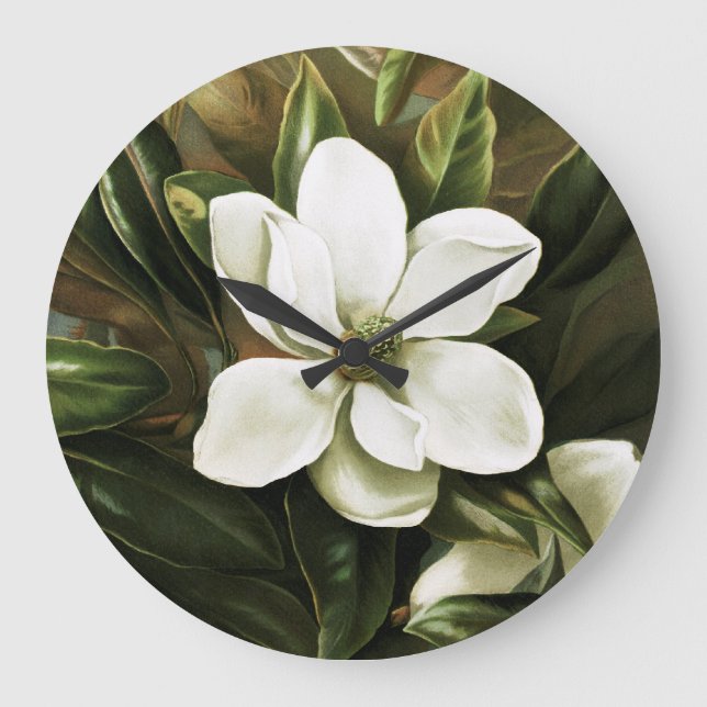 Alicia H. Laird: Magnolia Grandflora Large Clock (Front)