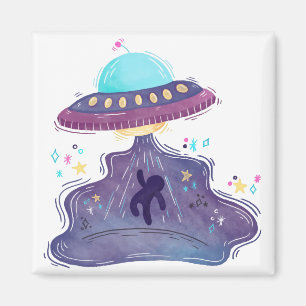 alien abduction magnet