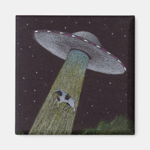 Alien Abduction Magnet