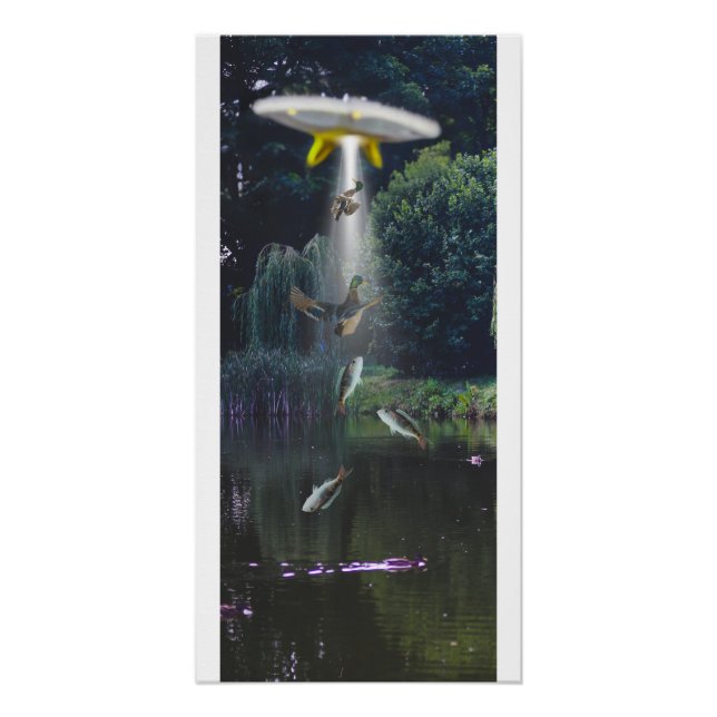 Alien abduction poster, fish, ducks.  poster (Front)