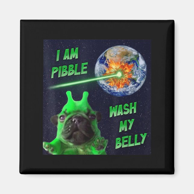 Alien Bble Funny Brainrot Dog Meme Space I Am Bble Magnet (Front)