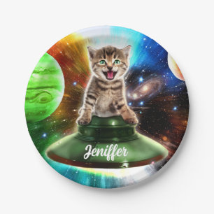 Alien cat in the ufo saucer                        paper plate