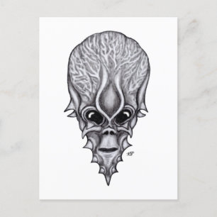 Alien Face , African Skull Facial Reconstruction Postcard