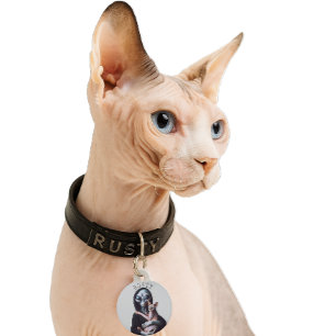 Alien Hairless Sphynx Cat Custom Name Pet ID Tag