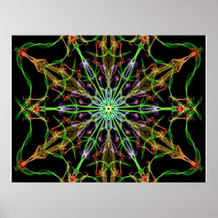 Alien Spider Web Mandala Spider Gifts Poster