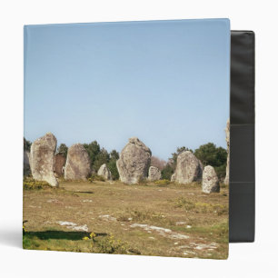 Alignment of standing stones, Megalithic Binder