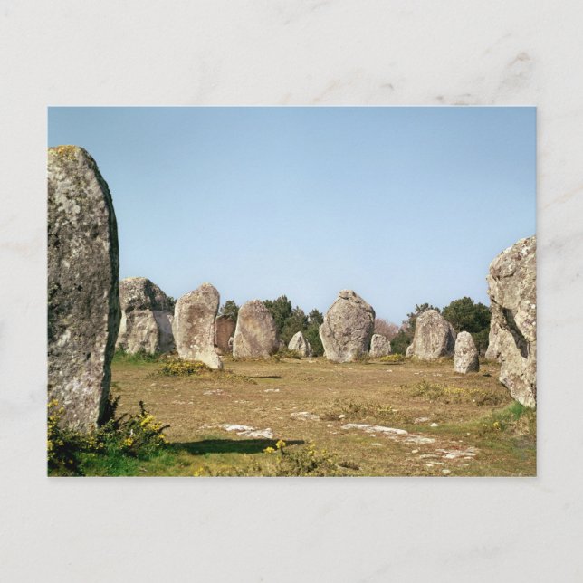 Alignment of standing stones, Megalithic Postcard (Front)