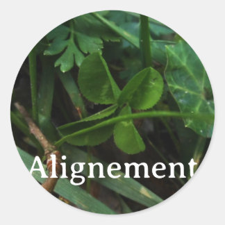 'Alignment' Sticker