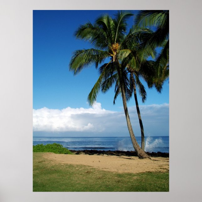 Ali'i Beach 19 Poster (Front)