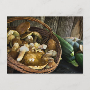 Alimentation d'automne encore vie carte postale
