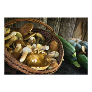 Alimentation d'automne encore vie photo imprimer